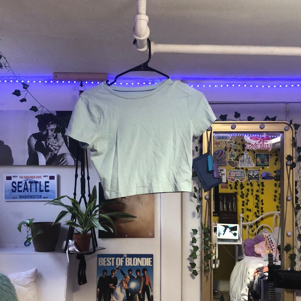 Wild Fable size small light blue crop top